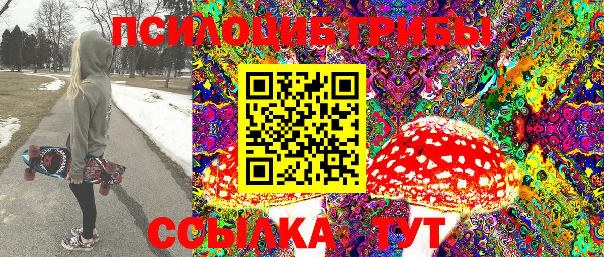 Псилоцибиновые грибы GOLDEN TEACHER Донской